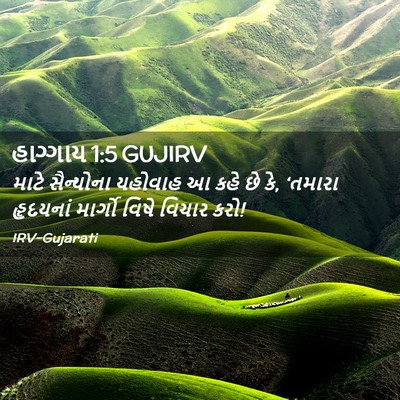 Picture 02 - હાગ્ગાય 1:5 GUJIRV - માટે સૈન્યોના - Bible Verse Picture