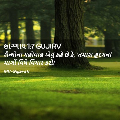Picture 02 - હાગ્ગાય 1:7 GUJIRV - સૈન્યોના યહોવાહ - Bible Verse Picture