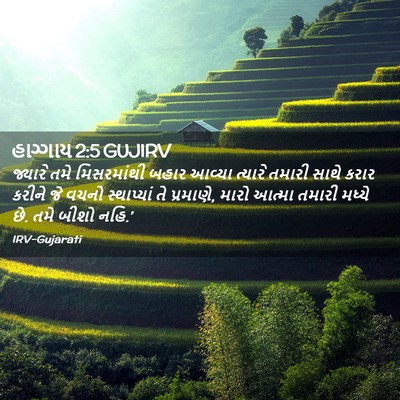 Picture 02 - હાગ્ગાય 2:5 GUJIRV - જ્યારે તમે - Bible Verse Picture