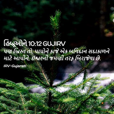 Picture 02 - હિબ્રૂઓને 10:12 GUJIRV - પણ ખ્રિસ્ત તો, - Bible Verse Picture