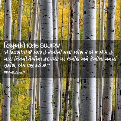 Picture 02 - હિબ્રૂઓને 10:16 GUJIRV - ‘તે દિવસોમાં જે - Bible Verse Picture