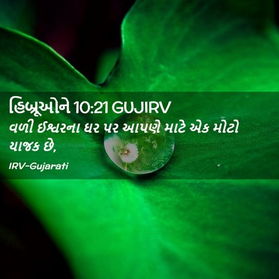 Picture 02 - હિબ્રૂઓને 10:21 GUJIRV - વળી ઈશ્વરના ઘર પર - Bible Verse Picture