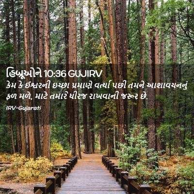 Picture 02 - હિબ્રૂઓને 10:36 GUJIRV - કેમ કે ઈશ્વરની - Bible Verse Picture