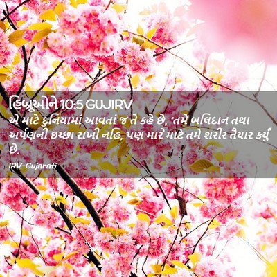 Picture 02 - હિબ્રૂઓને 10:5 GUJIRV - એ માટે દુનિયામાં - Bible Verse Picture