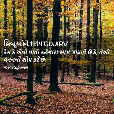 Picture 02 - હિબ્રૂઓને 11:14 GUJIRV - કેમ કે એવી વાતો - Bible Verse Picture