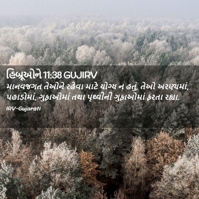 Picture 02 - હિબ્રૂઓને 11:38 GUJIRV - માનવજગત તેઓને - Bible Verse Picture