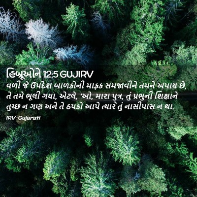 Picture 02 - હિબ્રૂઓને 12:5 GUJIRV - વળી જે ઉપદેશ - Bible Verse Picture