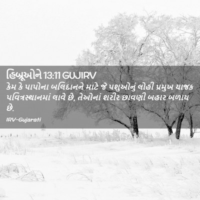 Picture 02 - હિબ્રૂઓને 13:11 GUJIRV - કેમ કે પાપોના - Bible Verse Picture