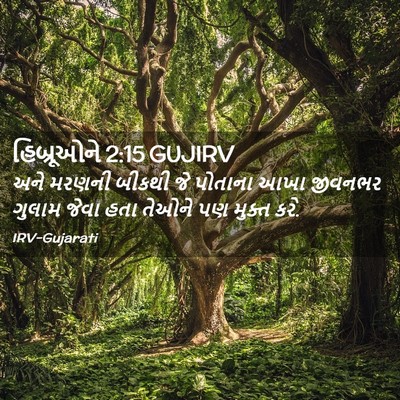 Picture 02 - હિબ્રૂઓને 2:15 GUJIRV - અને મરણની બીકથી જે - Bible Verse Picture