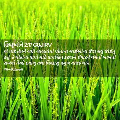 Picture 02 - હિબ્રૂઓને 2:17 GUJIRV - એ માટે તેમને બધી - Bible Verse Picture