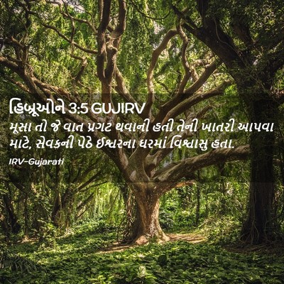 Picture 02 - હિબ્રૂઓને 3:5 GUJIRV - મૂસા તો જે વાત - Bible Verse Picture