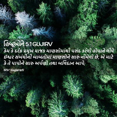 Picture 02 - હિબ્રૂઓને 5:1 GUJIRV - કેમ કે દરેક પ્રમુખ - Bible Verse Picture