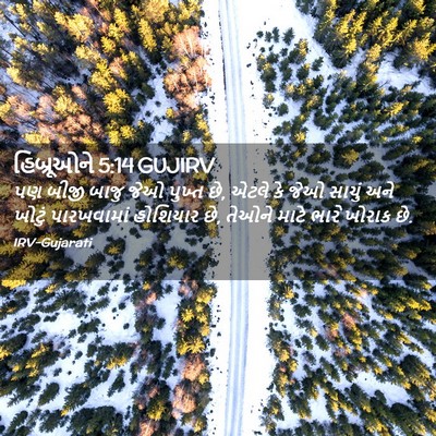 Picture 02 - હિબ્રૂઓને 5:14 GUJIRV - પણ બીજી બાજુ જેઓ - Bible Verse Picture