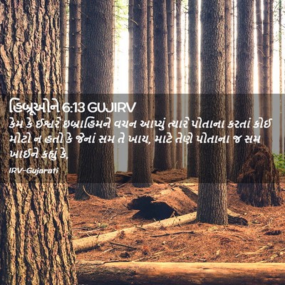 Picture 02 - હિબ્રૂઓને 6:13 GUJIRV - કેમ કે ઈશ્વરે - Bible Verse Picture