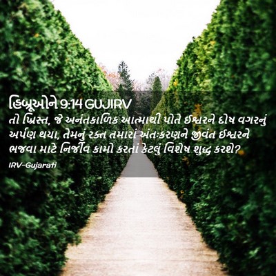 Picture 02 - હિબ્રૂઓને 9:14 GUJIRV - તો ખ્રિસ્ત, જે - Bible Verse Picture
