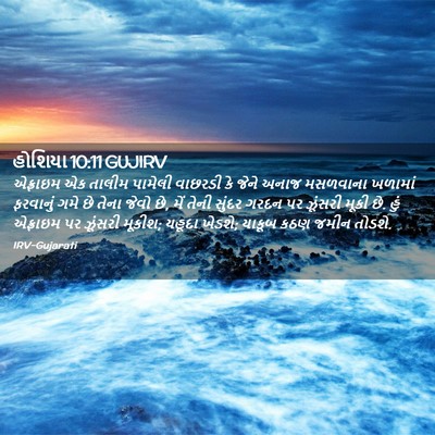 Picture 02 - હોશિયા 10:11 GUJIRV - એફ્રાઇમ એક તાલીમ - Bible Verse Picture