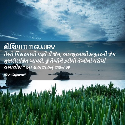 Picture 02 - હોશિયા 11:11 GUJIRV - તેઓ મિસરમાંથી - Bible Verse Picture