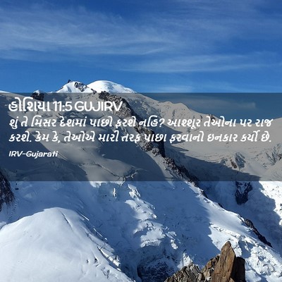 Picture 02 - હોશિયા 11:5 GUJIRV - શું તે મિસર દેશમાં - Bible Verse Picture