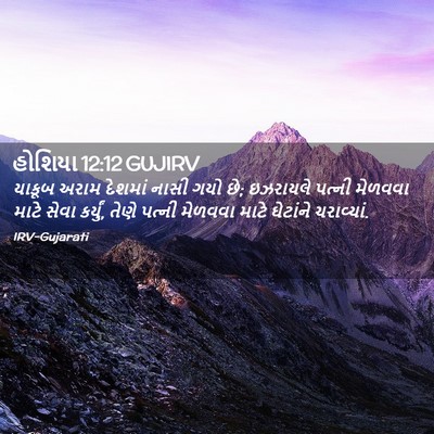Picture 02 - હોશિયા 12:12 GUJIRV - યાકૂબ અરામ દેશમાં - Bible Verse Picture
