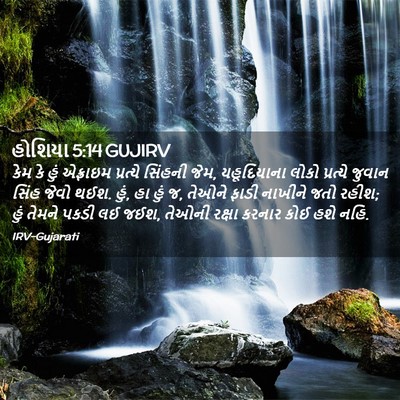 Picture 02 - હોશિયા 5:14 GUJIRV - કેમ કે હું એફ્રાઇમ - Bible Verse Picture