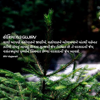 Picture 02 - હોશિયા 6:3 GUJIRV - ચાલો આપણે - Bible Verse Picture