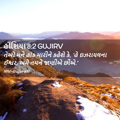 Picture 02 - હોશિયા 8:2 GUJIRV - તેઓ મને હાંક - Bible Verse Picture