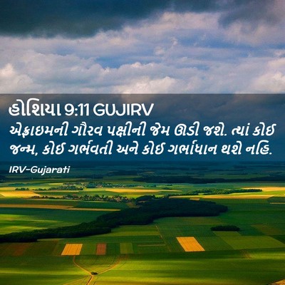 Picture 02 - હોશિયા 9:11 GUJIRV - એફ્રાઇમની ગૌરવ - Bible Verse Picture