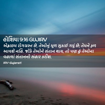 Picture 02 - હોશિયા 9:16 GUJIRV - એફ્રાઇમ રોગગ્રસ્ત - Bible Verse Picture