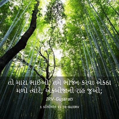 Picture 03 - 1 કરિંથીઓને 11:33 GUJIRV - તો મારા ભાઈઓ, તમે - Bible Verse Picture