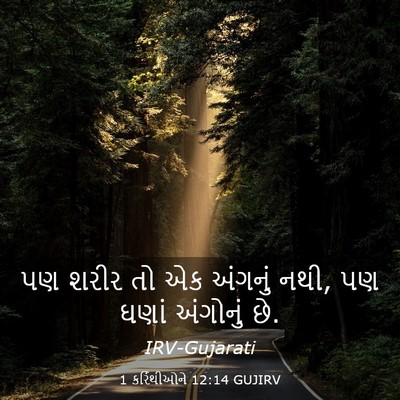 Picture 03 - 1 કરિંથીઓને 12:14 GUJIRV - પણ શરીર તો એક - Bible Verse Picture