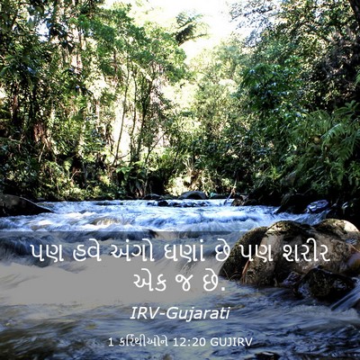 Picture 03 - 1 કરિંથીઓને 12:20 GUJIRV - પણ હવે અંગો ઘણાં છે - Bible Verse Picture