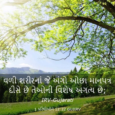 Picture 03 - 1 કરિંથીઓને 12:22 GUJIRV - વળી શરીરનાં જે - Bible Verse Picture