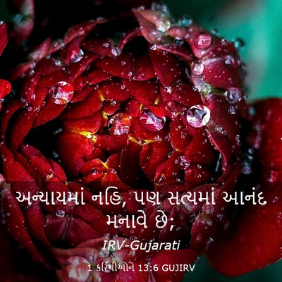 Picture 03 - 1 કરિંથીઓને 13:6 GUJIRV - અન્યાયમાં નહિ, પણ - Bible Verse Picture