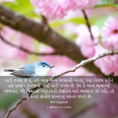 Picture 03 - 1 કરિંથીઓને 14:5 GUJIRV - મારી ઇચ્છા છે કે, - Bible Verse Picture