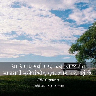 Picture 03 - 1 કરિંથીઓને 15:21 GUJIRV - કેમ કે માણસથી મરણ - Bible Verse Picture