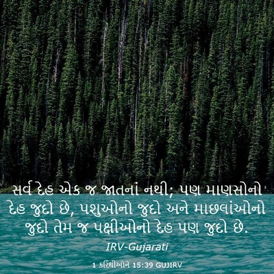 Picture 03 - 1 કરિંથીઓને 15:39 GUJIRV - સર્વ દેહ એક જ - Bible Verse Picture