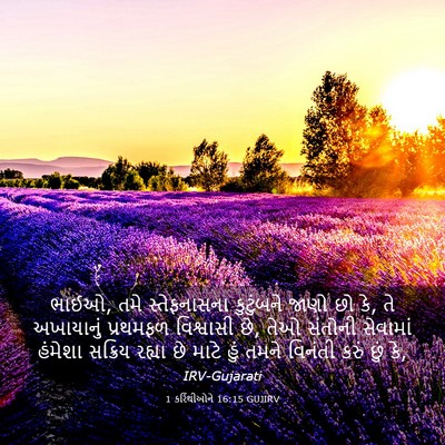 Picture 03 - 1 કરિંથીઓને 16:15 GUJIRV - ભાઈઓ, તમે - Bible Verse Picture
