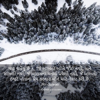 Picture 03 - 1 કરિંથીઓને 2:9 GUJIRV - પણ લખેલું છે કે, - Bible Verse Picture