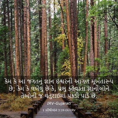 Picture 03 - 1 કરિંથીઓને 3:19 GUJIRV - કેમ કે આ જગતનું - Bible Verse Picture