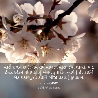 Picture 03 - 1 કરિંથીઓને 7:7 GUJIRV - મારી ઇચ્છા છે કે, - Bible Verse Picture