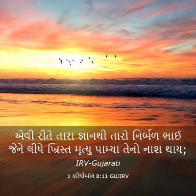 Picture 03 - 1 કરિંથીઓને 8:11 GUJIRV - એવી રીતે તારા - Bible Verse Picture