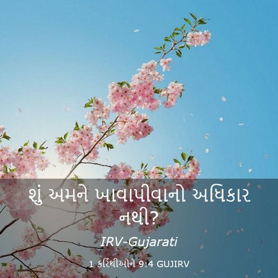 Picture 03 - 1 કરિંથીઓને 9:4 GUJIRV - શું અમને - Bible Verse Picture