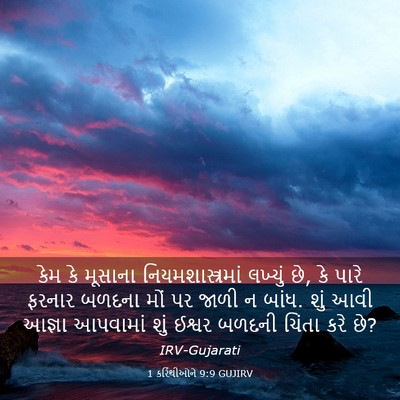 Picture 03 - 1 કરિંથીઓને 9:9 GUJIRV - કેમ કે મૂસાના - Bible Verse Picture