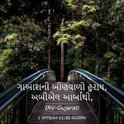 Picture 03 - 1 કાળવૃતાંત 11:32 GUJIRV - ગાઆશની ખીણવાળો - Bible Verse Picture
