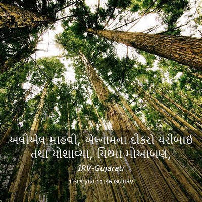 Picture 03 - 1 કાળવૃતાંત 11:46 GUJIRV - અલીએલ માહવી, - Bible Verse Picture