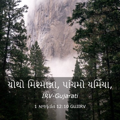 Picture 03 - 1 કાળવૃતાંત 12:10 GUJIRV - ચોથો મિશ્માન્ના, - Bible Verse Picture