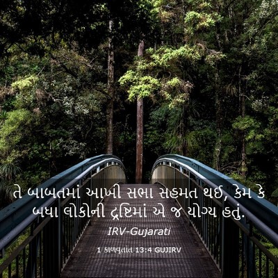 Picture 03 - 1 કાળવૃતાંત 13:4 GUJIRV - તે બાબતમાં આખી સભા - Bible Verse Picture