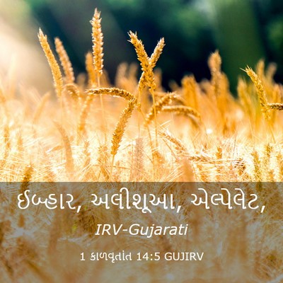 Picture 03 - 1 કાળવૃતાંત 14:5 GUJIRV - ઈબ્હાર, અલીશૂઆ, - Bible Verse Picture