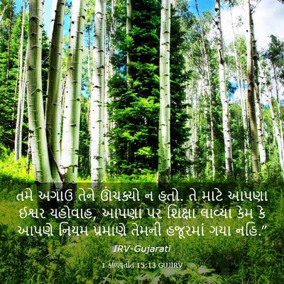 Picture 03 - 1 કાળવૃતાંત 15:13 GUJIRV - તમે અગાઉ તેને - Bible Verse Picture