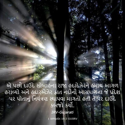 Picture 03 - 1 કાળવૃતાંત 18:3 GUJIRV - એ પછી દાઉદે - Bible Verse Picture